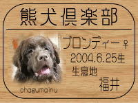 ���P���V���E�o����̂g�o�ւf�n�I